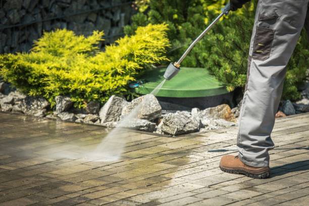 Best Driveway Pressure Washing  in Silver Firs, WA